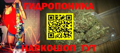 прущие крисы Бузулук