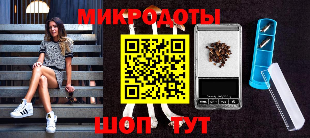 Псилоцибиновые грибы Psilocybe  Вход с VPN  Асино 