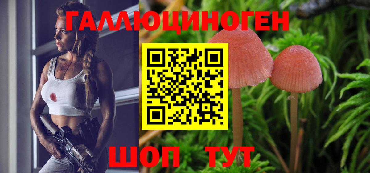 Галлюциногенные грибы GOLDEN TEACHER Асино