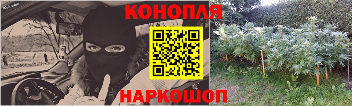 МАРИХУАНА тримм Асино